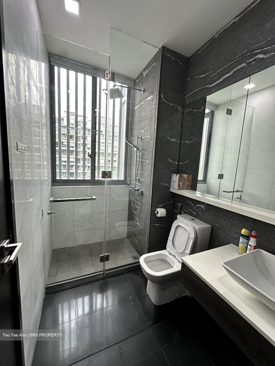 The Hillier (D23), Apartment #492245741